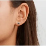 Boccia Kinder Ohrstecker aus Titan Delfin silberfarben 05090-01