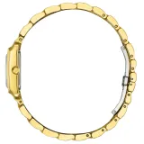 Citizen Damenuhr Eco Drive Edelstahl goldfarben Zifferblatt perlmutt EW5602-81D
