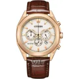 Citizen Eco Drive Herrenuhr Sport Modern Dress Edelstahl rosegoldfarben CA4593-15A