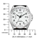 Citizen Herrenuhr Funk Solar silberfarben mit schwarzem Lederband CB0250-17A