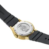 Luminox Navy SEAL Armbanduhr goldfarben mit Silikonband in schwarz XS.3221.NSF